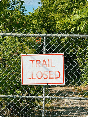 Vlieg over de straat