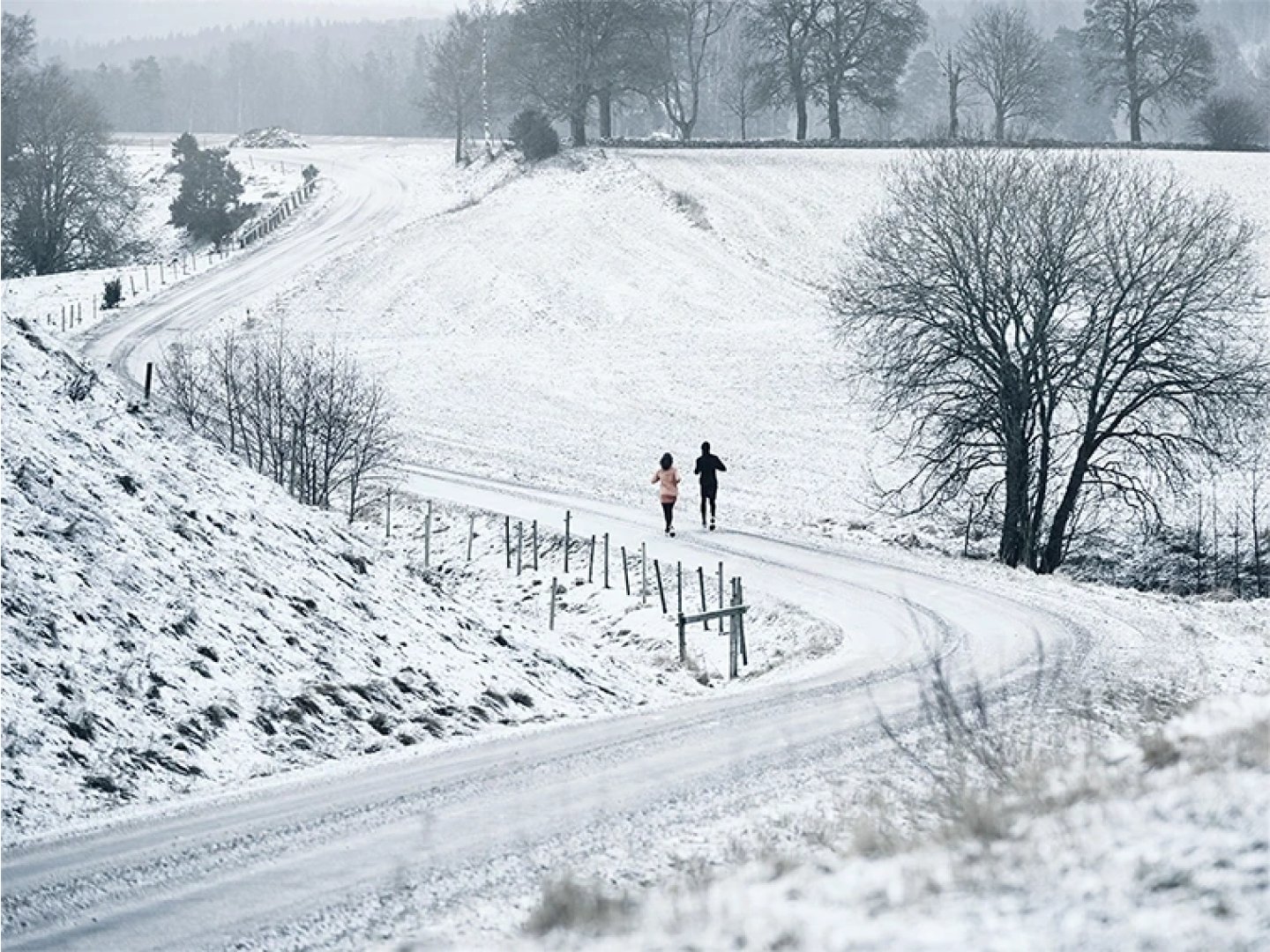 Two runners jogging along a winding snow-covered rural road surrounded by bare trees and snowy fields in winter.