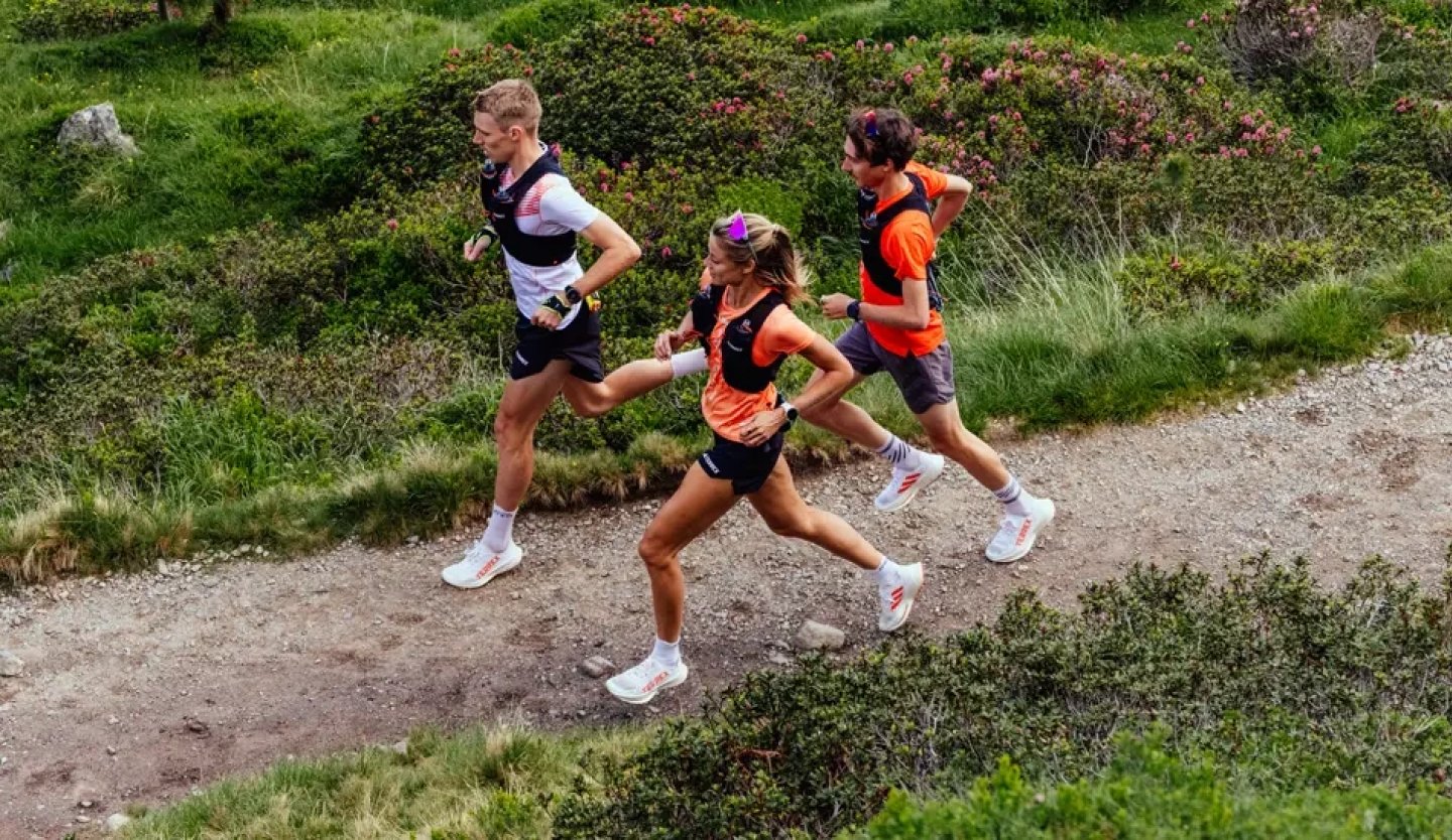 Three runners wearing Adidas Terrex trail running shoes racing along a rocky mountain trail surrounded by alpine shrubs.