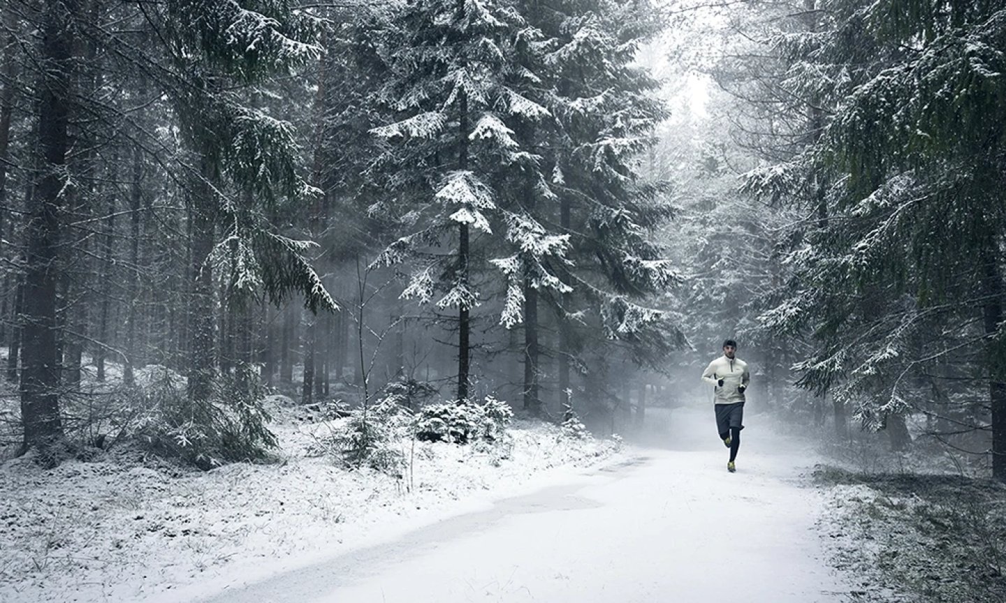 Male runner in winter running gear jogging along a snow-covered forest path surrounded by frost-laden pine trees
