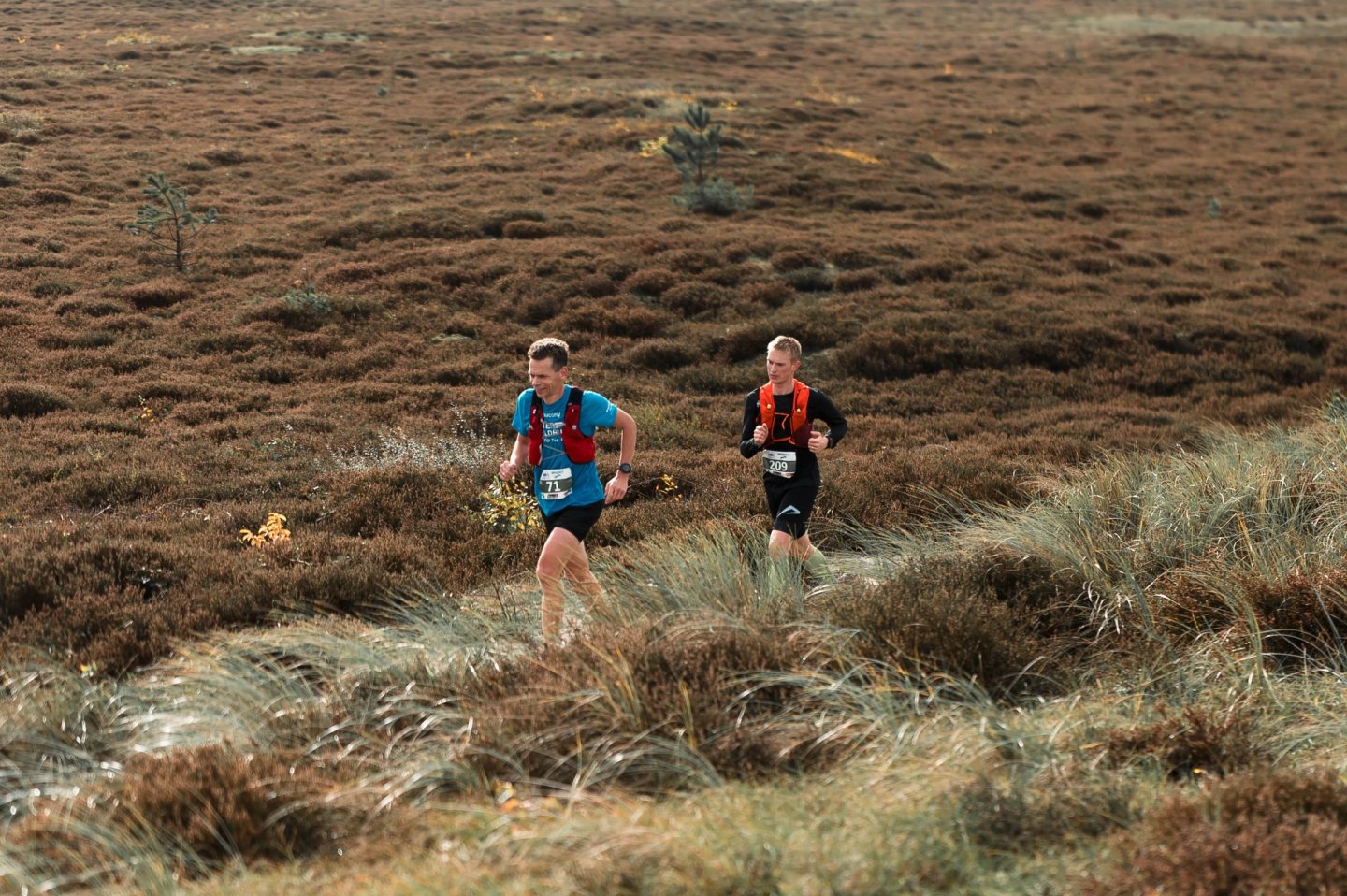 Two male trail runners wearing race bibs 71 and 209 with hydration vests running through heather moorland